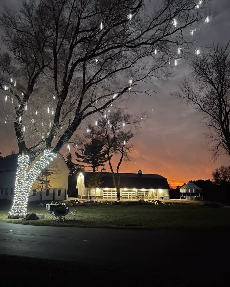 1222438-51024-l-56483yZuXe8y