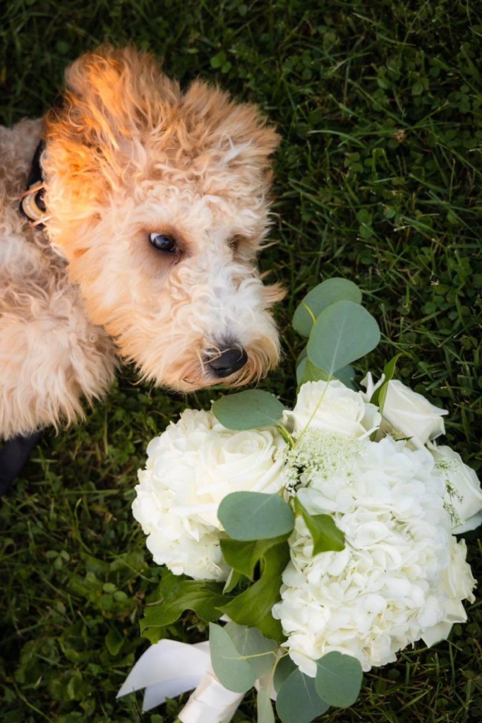 1223053-51044-l-56483ENAvYPE