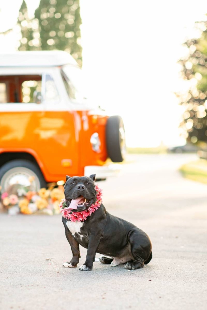 1223059-51044-l-56483WUBAJAB