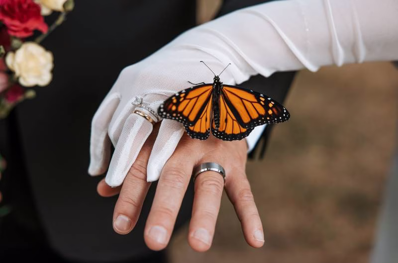 1223662-51057-l-56483sANUME9