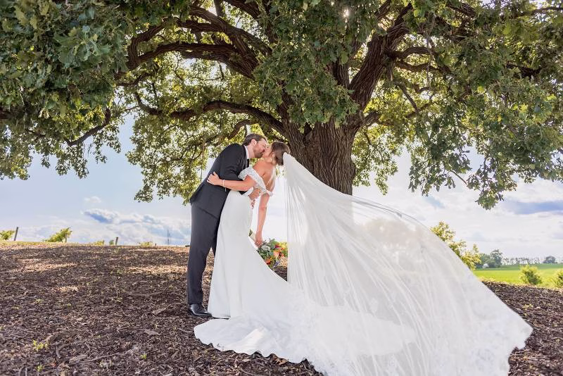 1236366-51563-l-56483YDyqYJa