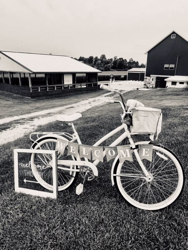 1236947-51595-l-56483uHA2eGe