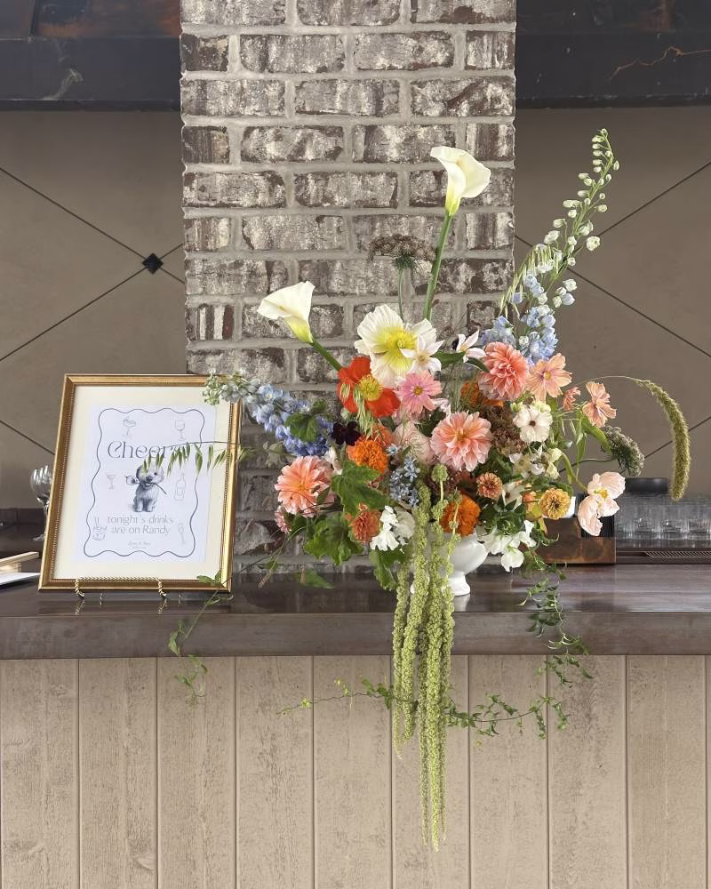 1238147-51637-l-56483EvYSERa