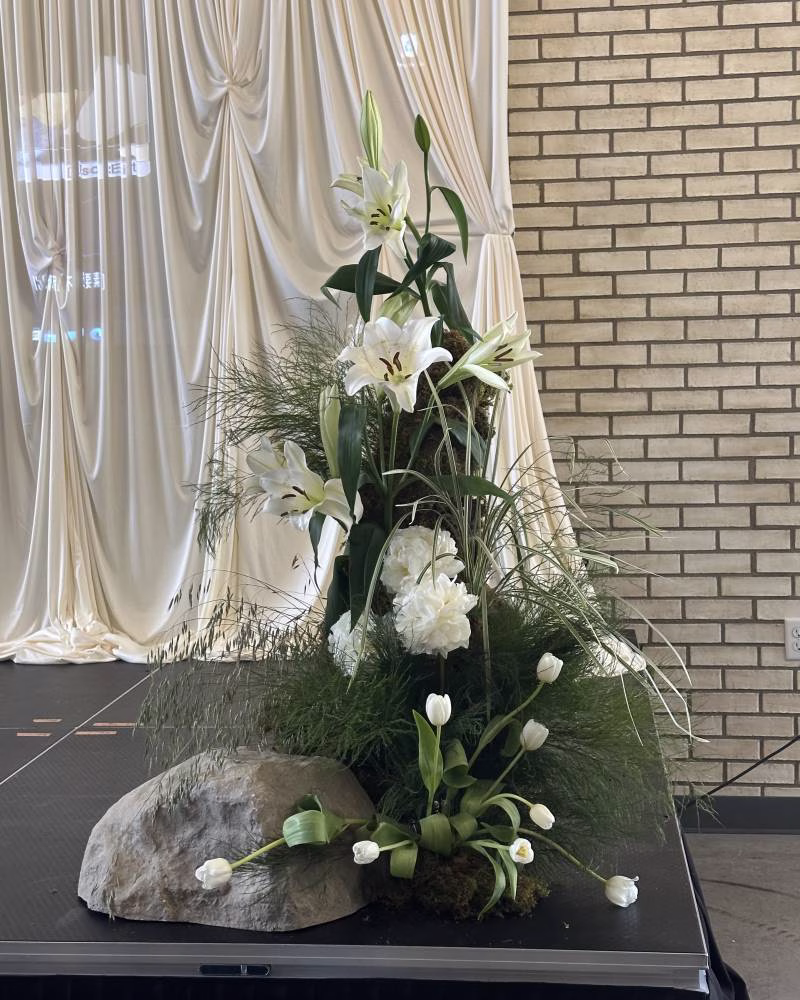 1238150-51637-l-56483duXEZYZ