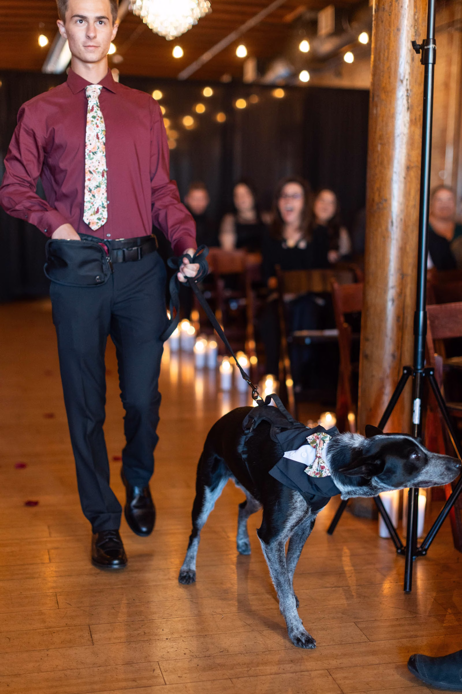 moody romantic fall wedding loft on broadway milwaukee wisconsin ceremony 431 0783 - A Moody, Romantic Fall Wedding at The Loft on Broadway | Sarah + Nathan a pet appearance at a wedding, with a leashed dog being walked with the aisle at The Loft on Broadway. The dog is wearing a bandana that resembles a formal suit with a colorful bowtie